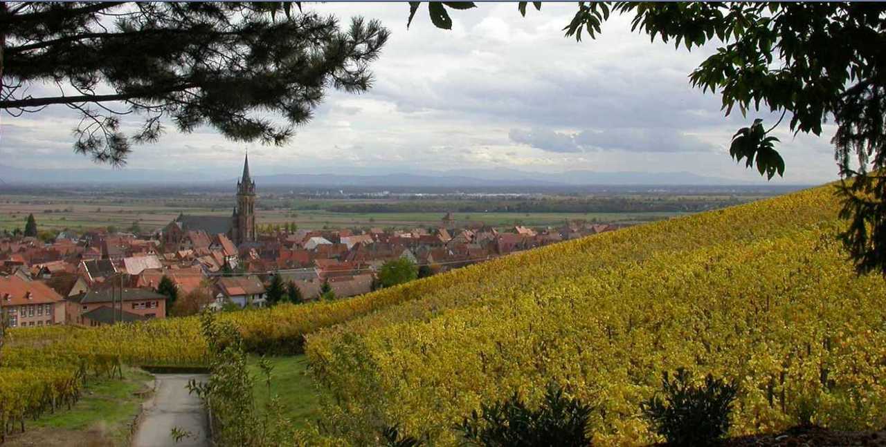 Alsace Dambach la Ville APGa