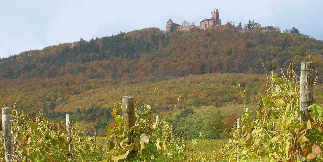 Alsace Ht-keoningsbourg APG