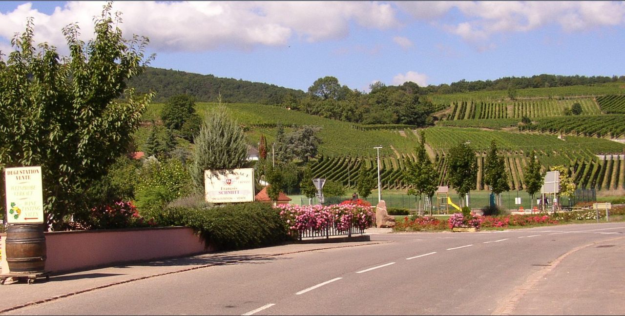 Alsace Route des vins APG