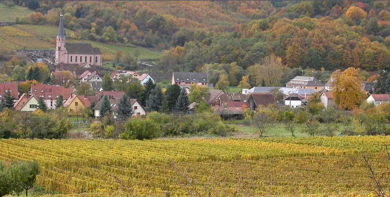 Alsace Andlau 2
