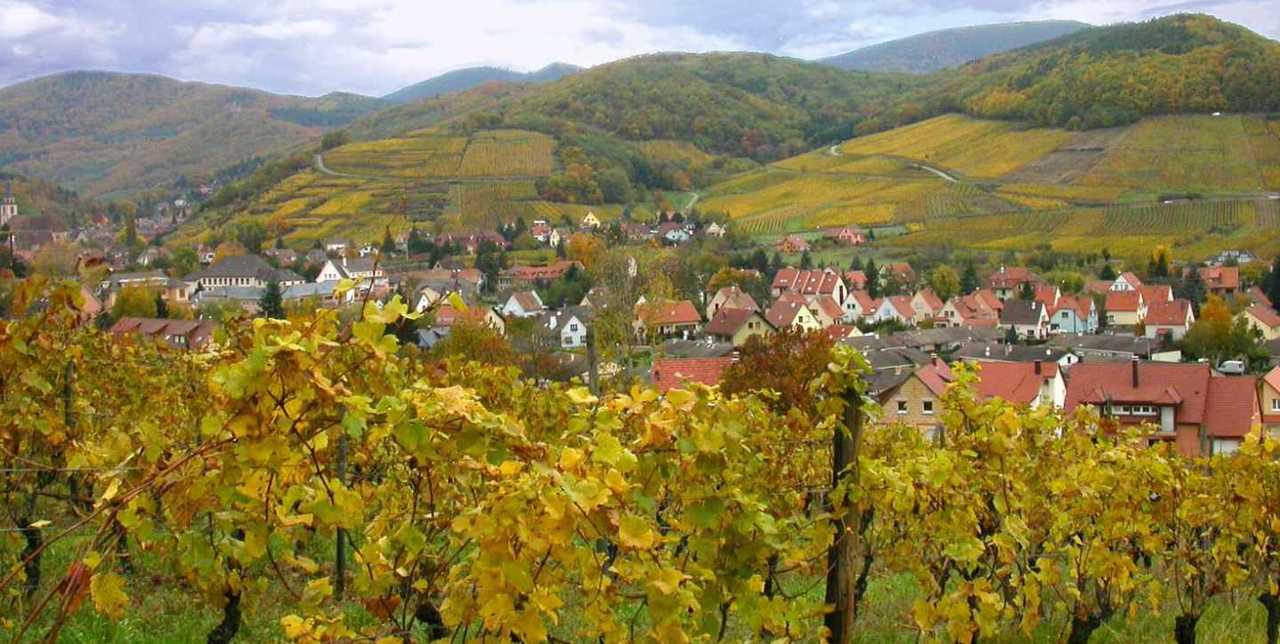 Alsace Andlau 1