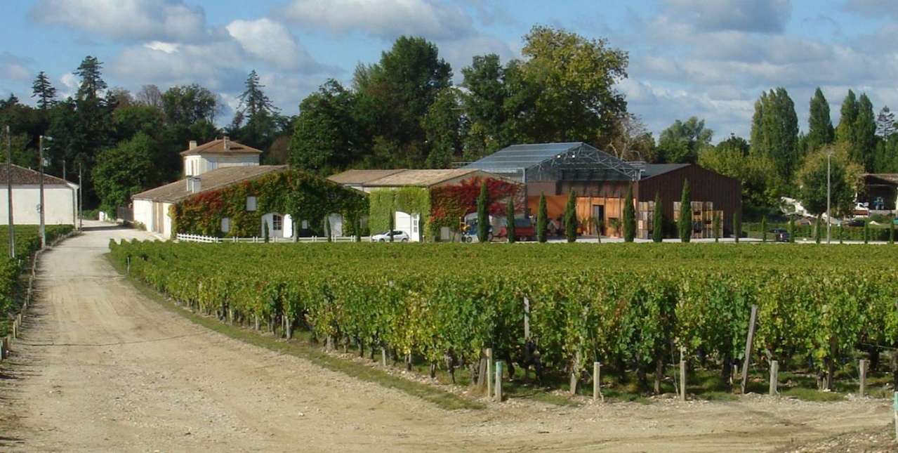 Haut-Bages Libéral domaine 1