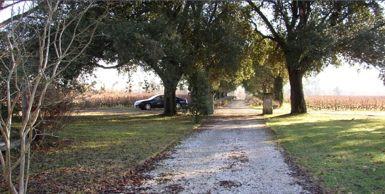 Monbrison  Domaine Vignes