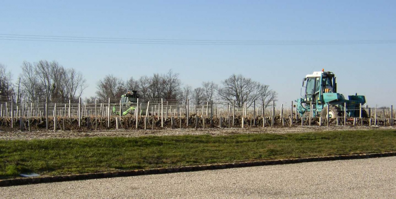 Lagrange travaux vigne