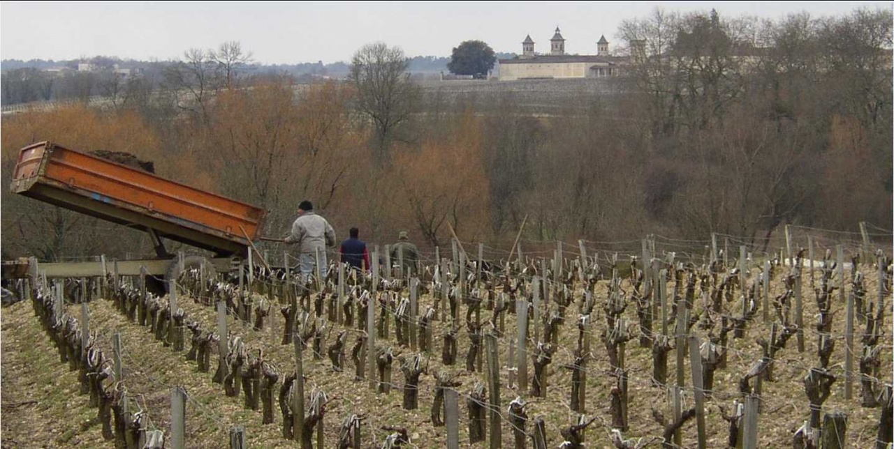 Haut-Marbuzet Plantation G