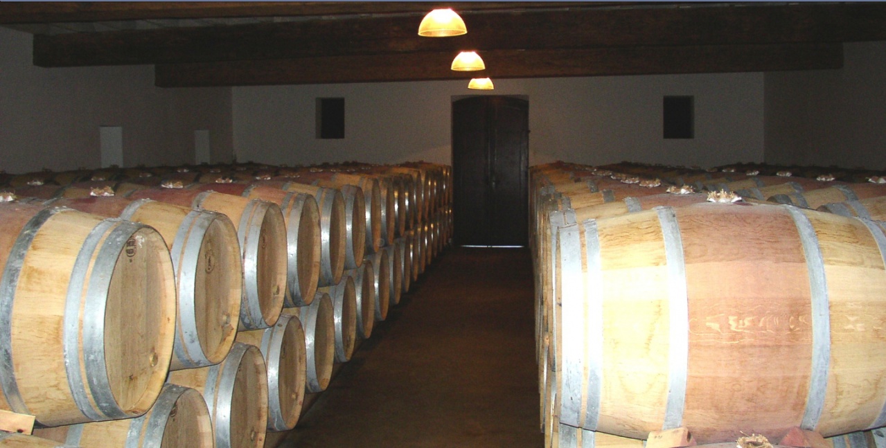 Clauzet chai barriques G