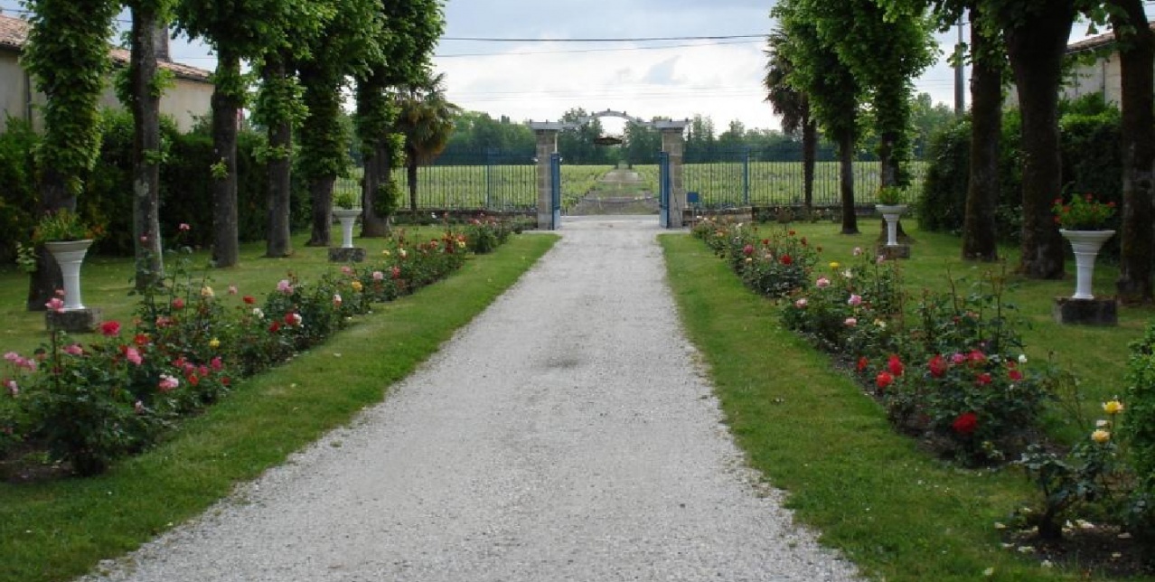 Martinens allée vignes 