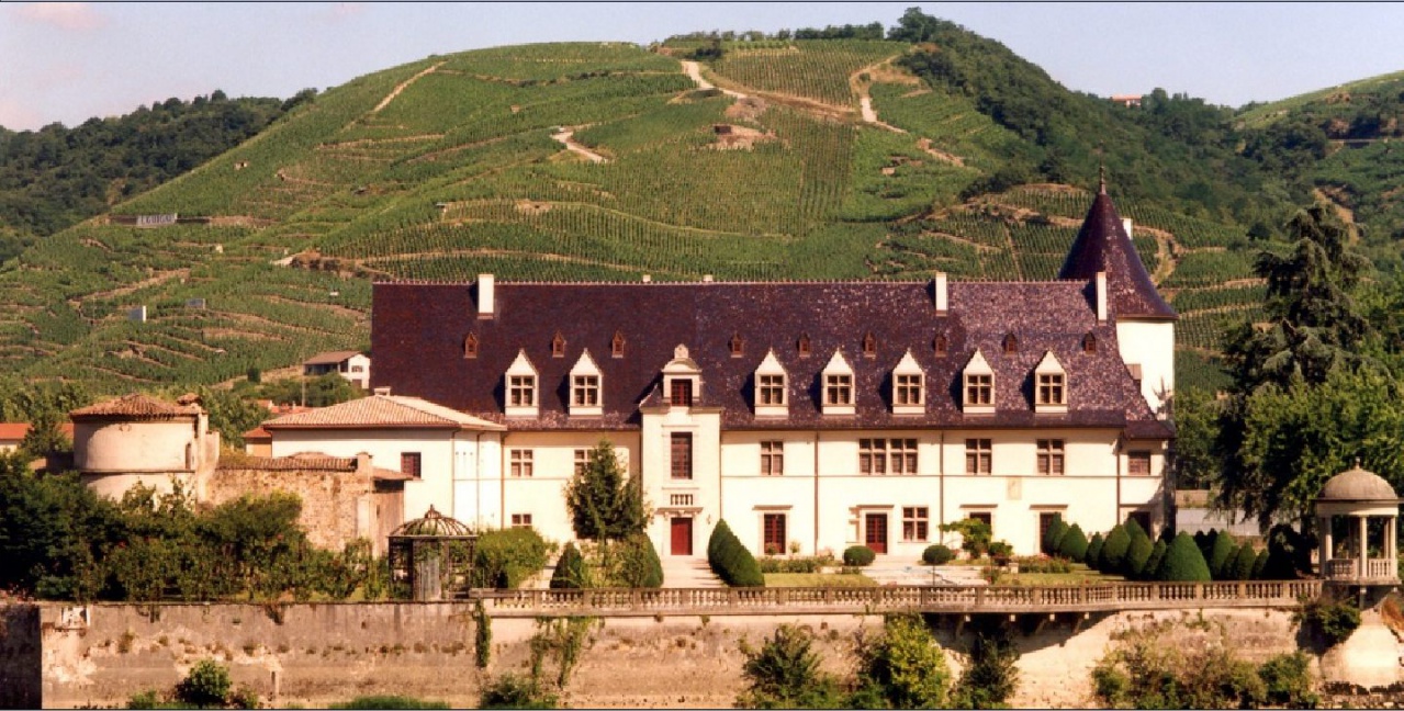 Ampuis vignes château