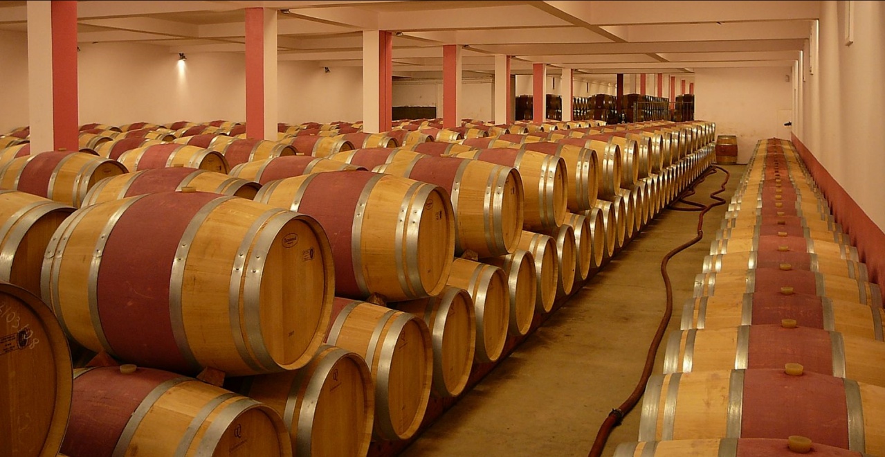 Chasse-Spleen chai barriques SG