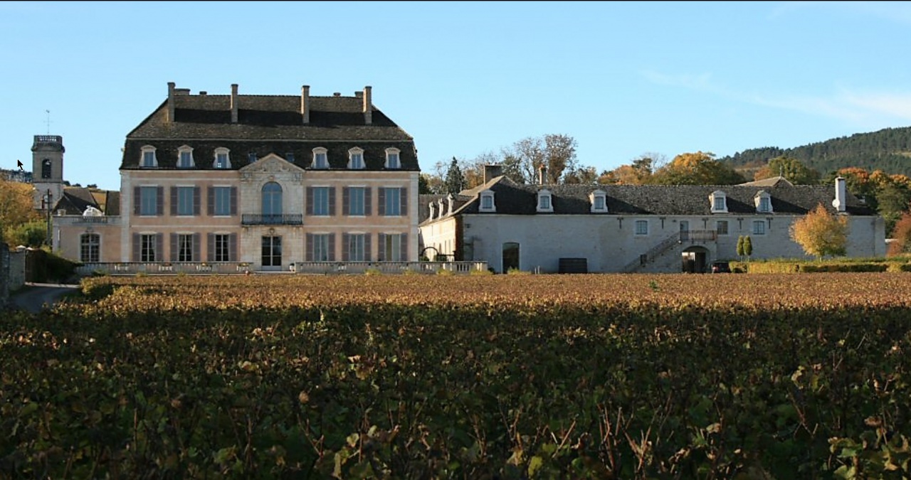 chateau-de-pommard  château - tachnique